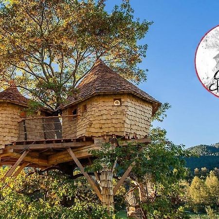 Parthenope - Les Cabanes Du Chene Rouvre Saint-Die-des-Vosges Luaran gambar